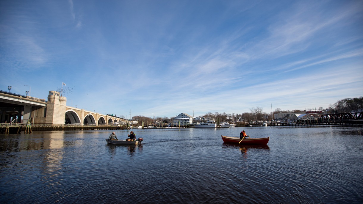 Brown university undergraduate thesis picture